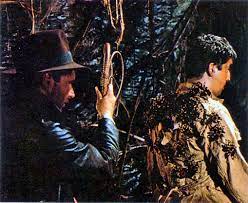 He first rose to prominence in the west end, earning a laurence olivier award for best newcomer in a play nomination for his performance in the production. The Indiana Jones Picture Gallery Project On Twitter Cinema Behindthescene Locations Indianajones Raiders Of The Lost Ark Stevenspielberg 1981 Alfred Molina Suffered An Irritation In His Neck That Required Medication Due