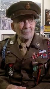 Cops: Horse rescued from cesspool escaped death two years ago