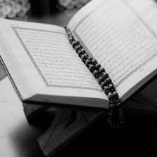 See more of syed mubarak & co. Syed Mubarak Ali Shah Katherinestefan786 Profile Pinterest