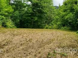 Maybe you would like to learn more about one of these? Cherokee Real Estate Cherokee Nc Homes For Sale Zillow