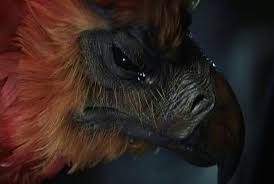 And it';s haunting harry potter';s dreams. 10 Facts About Phoenixes Harry Potter Amino
