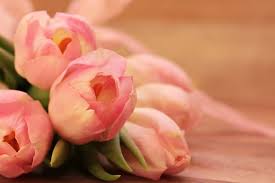 Check spelling or type a new query. Floraqueen The Way To Send Flowers Internationally The Jerusalem Post