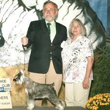 Maybe you would like to learn more about one of these? Avenues Pet Clinic Home Facebook