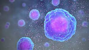 Furthermore, we describe an alternative approach for stimulation of inkt cells in vitro that allows a significantly improved detection. Cytokine Wikipedia