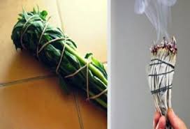 Comment Faire Des Batons De Plantes A Bruler Qui Eliminent L Energie Negative Et Le Stress Eliminate Negative Energy Reiki Healing Reiki Symbols