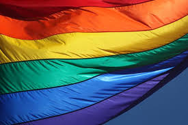 The flagmaker & print pride flag collection! Pride 2019 What S Changed Since Last Year Ippf