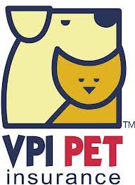 And belive me, my one dog was in the icu for 10 days. Pet Insurance For Rats Worth It Rat Whisperer Cage Leash Harness Reviews And Hairless Rat Care