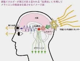 国家安全保証局nsa 八咫烏 特殊作戦軍 アシュターコマンド 公式 on twitter 松果体 瞑想 霊気