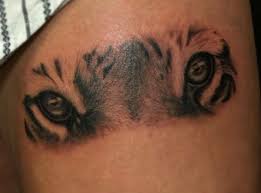 Tattoo Do Tigre Seu Significado E 30 Grandes Ideias Do Projeto Tatuagens Hd