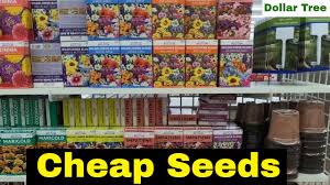 02:33 check out my garden videos since this video from way back! Cheap Seed Starting Supplies At Dollar Tree Youtube