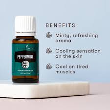 Image result for Peppermint Oil