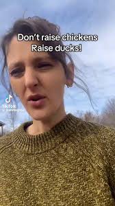 Ted Hans III (@Tedhansiii)