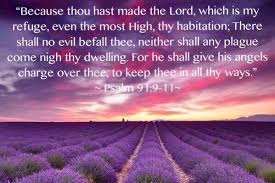 Because Thou Hast Made The Lord Which Is My Refuge Even The Most High Thy Habitation There Shall No Evil Befall Th Psalms Words Of Encouragement Scripture
