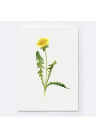 Pin On Water Color Wonder