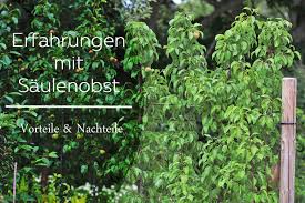 Check spelling or type a new query. Erfahrungen Mit Saulenobst Vor Und Nachteile