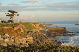 Tripadvisor has 68,209 reviews of santa cruz hotels, attractions, and restaurants making it your best santa cruz resource. Santa Cruz Kalifornien Beliebte Routen Alltrails