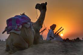 Pushkar camel fair is the largest camel and livestock fair in india and is held each year in the holy city of pushkar in rajasthan. Pushkar Camel Fair A Spellbinding Experience Thomas Cook Blog
