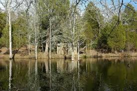 Channel catfish are stocked annually and grow rapidly, providing an excellent fishery from both fishing piers. Purtis Creek State Park Pictures For Our Members That Are More Serious Anglers Purtis Creek State Park Local Attractions State Parks Park Pictures