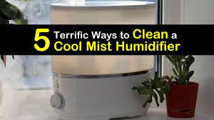5 Terrific Ways To Clean A Cool Mist Humidifier