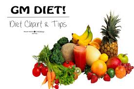 gm diet plan diet chart my experience daily updates