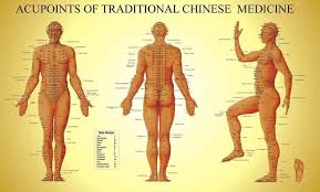 Acupuncture Charts Focalaxis