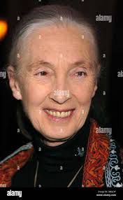 John goodall hi-res stock photography and images