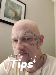 猫が夢中！クラッキングおもちゃで遊ぶ瞬間🐀🐈