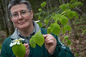 25 видео 72 просмотра обновлен 16 янв. Hurry Up Here S How To Spot Some Of Maine S Fast Blooming Native Wildflowers