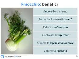 Check spelling or type a new query. Finocchio Proprieta Calorie Benefici Valori Nutrizionali E Usi