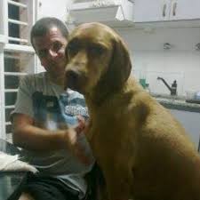 Daniel Riesgo (@danyriesgo)