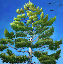 Rachel Klecker Clegg