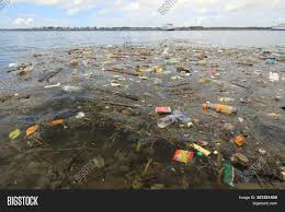 Deforestation oil and grease have polluted coastal waters in all states and groundwater in some areas, and rates of deforestation increased from 0.4 percent annually. Semporna Malaysia Image Photo Free Trial Bigstock