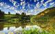 Beautiful Flower Nature Wallpaper