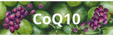 CoQ10 (Coenzyme Q10) | NeoLife - yourday2day