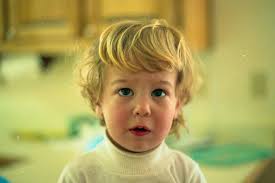 Bennett Clay Freeman (@crestiecabana) • Instagram photos and videos