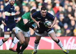 Stuart hogg was dealt a cruel and devastating blow after suffering a freak accident against the crusaders. Booking Agent For Stuart Hogg Champions Rugby