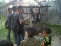 Gupta is affiliated with harton regional medical center. Ini Kata Dokter Hewan Soal Taman Rimba Tribun Jambi