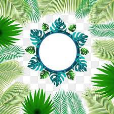 Seeking for free daun png images? Gambar Bingkai Tropis Dengan Png Vektor Daun Kelapa Daun Tropis Bingkai Daun Tropis Daun Kelapa Png Dan Vektor Dengan Latar Belakang Transparan Untuk Unduh G Di 2021 Latar Belakang Pohon Palem Seni