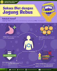 Namun, jika kamu kurang selera dengan jagung rebus biasa, kamu bisa membuat. Diet Jagung Rebus Sekali