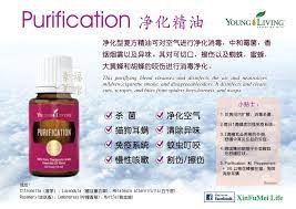 purification essential oil 净化精油 young living purification young living cleanse