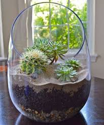 Terrarium Pour Plantes Tuto Pour Le Faire Et Plus De 70 Super Modeles Terrarium De Plantes Grasses Plante Succulente Terrarium Plante Bocal