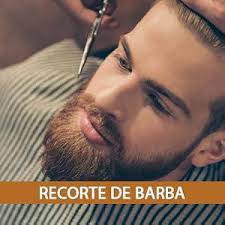 Tijeras de corte de pelo profesional de peluquería (6.5 pulgadas)