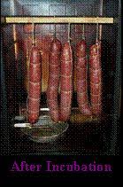 Remember, we are a general food sub, not specific to recipes, images, quality or any other set discriminatory factor. 300 Salami Recipes Ideas Homemade Sausage Cured Meats Salami Recipes