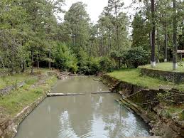 Szczegółowa meteoprognoza zambrano, departament francisco morazán, honduras na dziś, jutro, weekend. Parque Aurora Zambrano F M Honduras Mapio Net