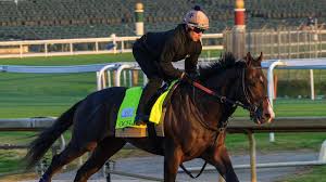 Another horse scratches out of the Kentucky Derby. Meet his replacement