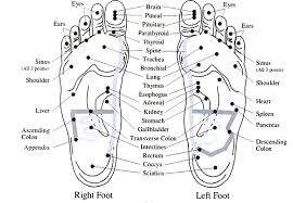 vita flex charts natural drops of wellness