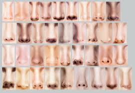 Emuaid© gave me my life back. i am so thankful for this amazing product. Bacteria In Human Noses Release An Antibiotic That Kills Mrsa