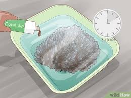 But how are they cleaned? Simple Ways To Grow Coral In An Aquarium With Pictures Wikihow