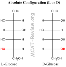 Mcat Study Guide Ochem Ch. 8 – Bio-Chemistry – Mcatforme