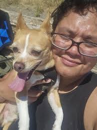 Misty Stepp's Instagram, Twitter & Facebook